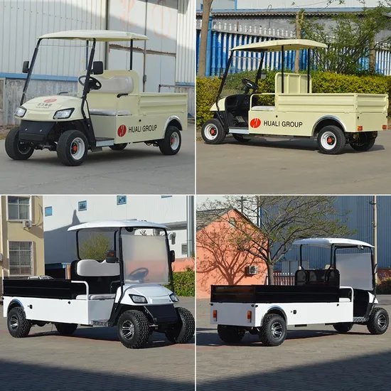2 Seater Pickup Truck Low Speed Mini Food Golf Cargo Car