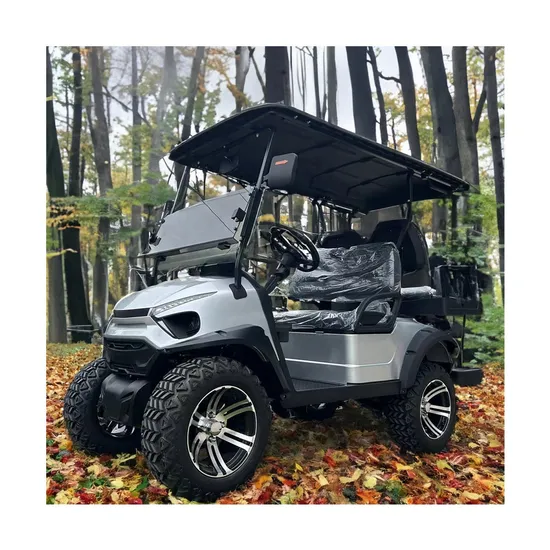 Sightseeing Bus Street Legal 36V 48V 72V Powerful Lithium Battery 4X4 Hunting 4 Seat Seats ATV Electric Golf Buggy Mini Electric Golf Car Cart