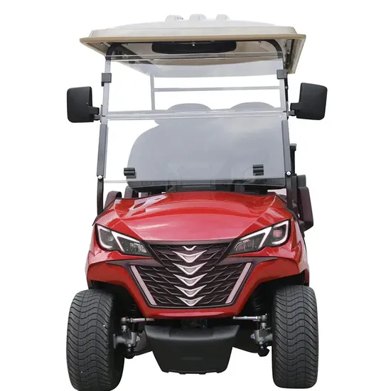 Golf Cart 6 Seater Good Price Lsv Whole Sale
