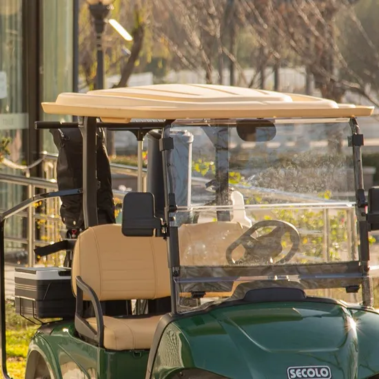 Hio 2-Seat 5 Kw Motor Golf Cart with Good Price