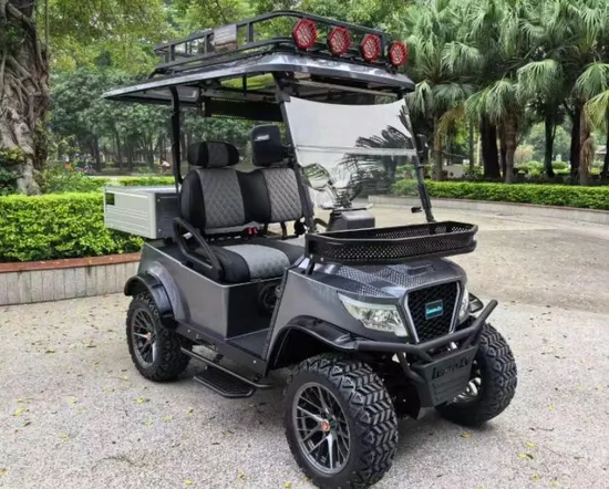 Good Price Guangdong, China ATV Electric Golf Mini Car UTV Cart with ISO Electric Vehicle