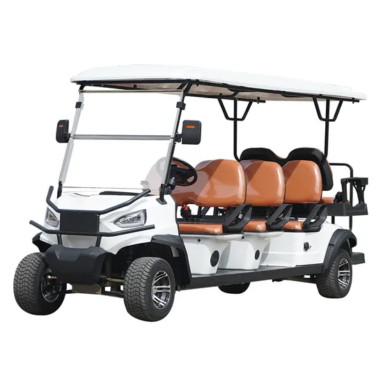 Export Certification 4000W Motor Reversing Camera Lithium Battery Multi-Seat 22+2 4+2 Electric High Chassis Golf Cart