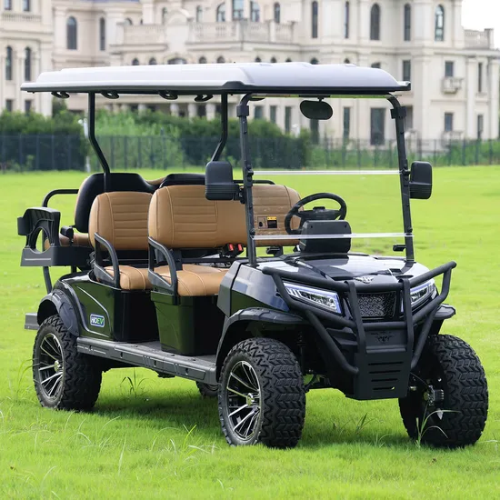 48V 5kw 6 Seats Golf Cart