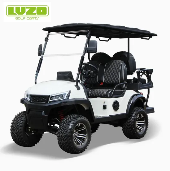 10years Manufacturer Luxury 2/4/6/8 Seater Electric/Gas/Gasoline off Road/Street Legal Golf Cart Lithium Battery Buggy with CE