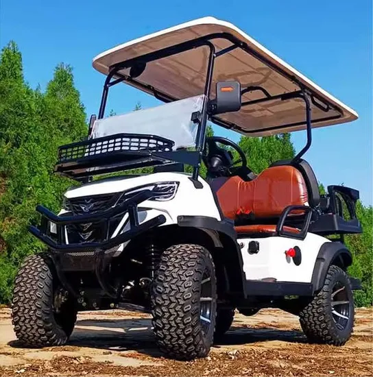2 4 6 8 Seater Lithium Batteries off Road Golf Club Buggy New Enery Car Disc Brake on Sales