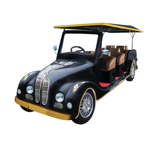 8 Seats Electric Classic Cars for Sale (Lt-S8. FB)