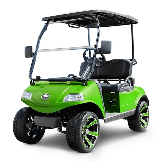 Hdk 2 Seaters LiFePO4 Battery Green Golf Buggy Utility Cart