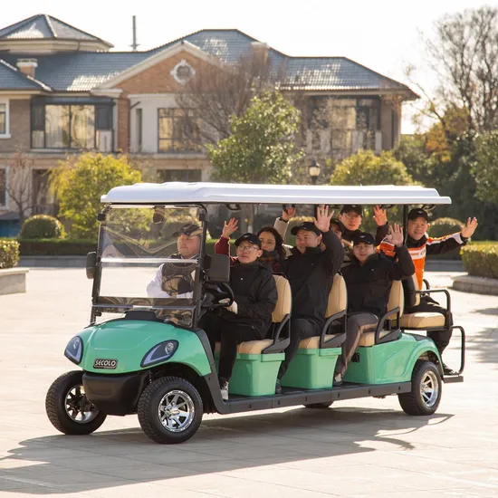 Hdk 8-Seater 48V New Energy Mini Electric Vehicle Cars Golf Cart