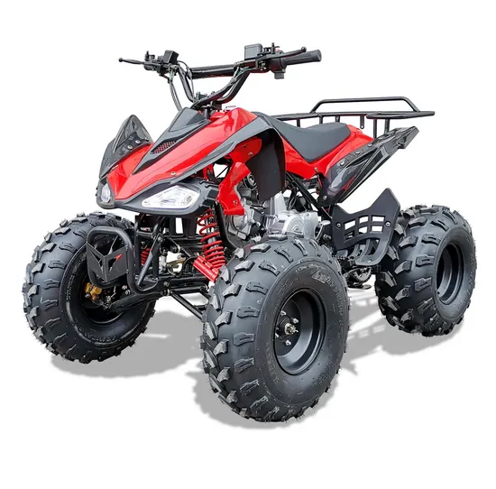 110cc 125cc 4 Wheeler Gas Quadricycle Quad ATV Bike