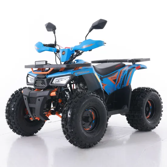 Tao Motor 2024 New Quad Bike Automatic Chain Drive 125cc ATV