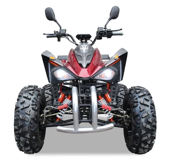 Fast 3000W 72V Electric Quad Bikes Long Range for Adults Two Seats