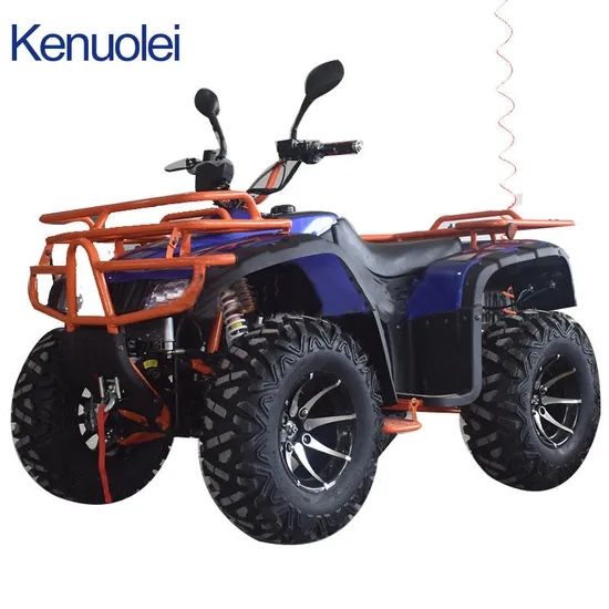 Wholesale Customized Good Quality Adult 250cc ATV 4X4 Adult 250cc