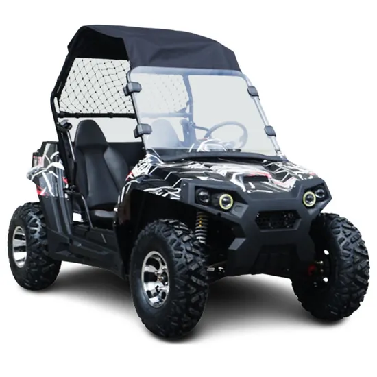 UTV Dune Buggy UTV Farm UTV for Sale with CE