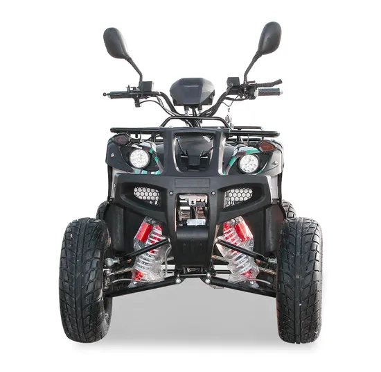Outdoor Big Bullock 3000W 4000W 72V ATV Factory Wholesale Ditr ATV