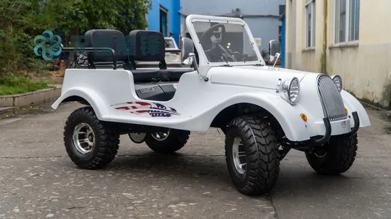 Dune Buggy Tk125ly-10