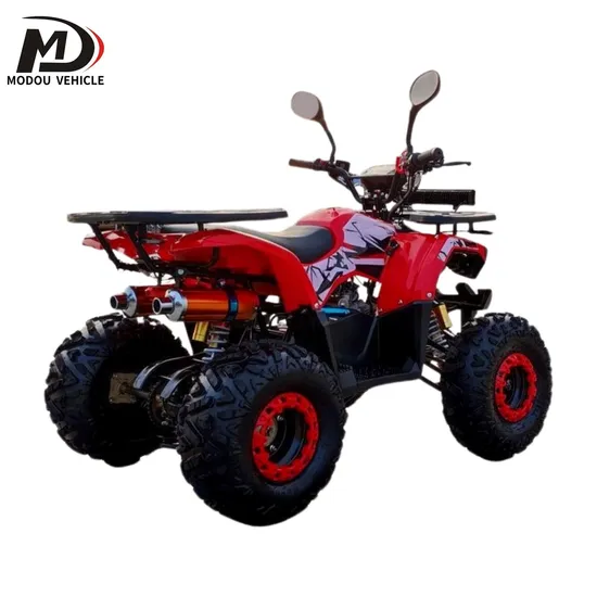 Newly Upgraded Adult Motocross ATV