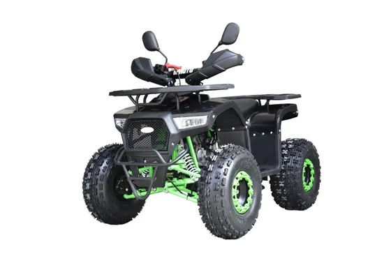 110cc ATV 125cc ATV for Kids