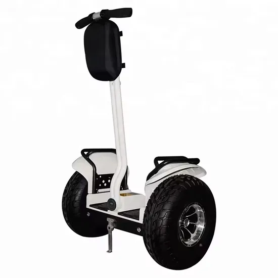 Food Delivery Self Balance Electric Scooters Electric Chariot Scooter off Road
