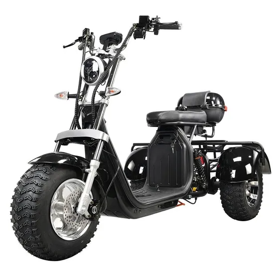 Adult Electric 3 Wheel Scooter 2000W Motor Max Speed 35-45km/H Max Load 250kg