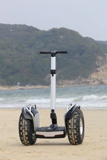 All Terrain Adult off Road X60 Mainboard Electric Mobility Scooter Self Balance Scooters
