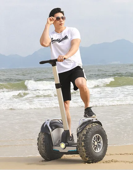 2 Wheels Big Wheel Cruiser 2400W Leadway Golf Scooter Electric Balance Scooter