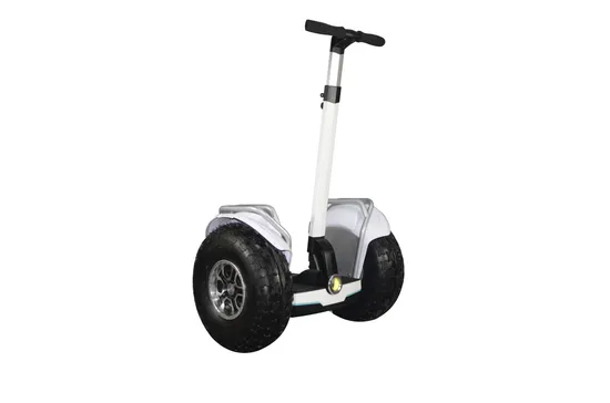 Cheap Adults Electric Chariot 19in Fat Tire off Road Self-Balancing Electric Scooter