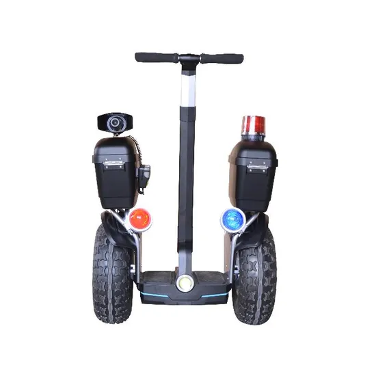 Factory Price off Road Electric Chariot Balance Scooter off-Road Cart with Handle Bar Electric Patrol Scooter