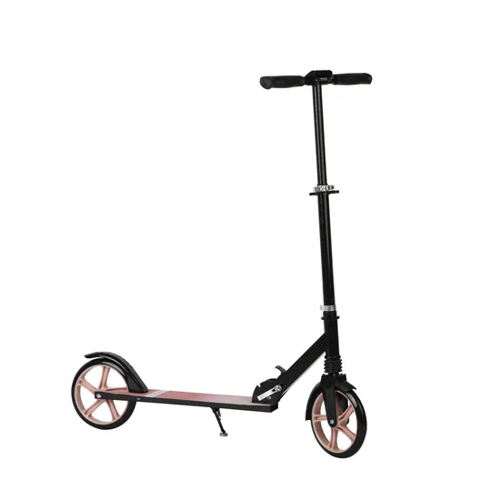 2024 New Arrival Fashion Design Many Function Two Wheels Adult Kick Scooter