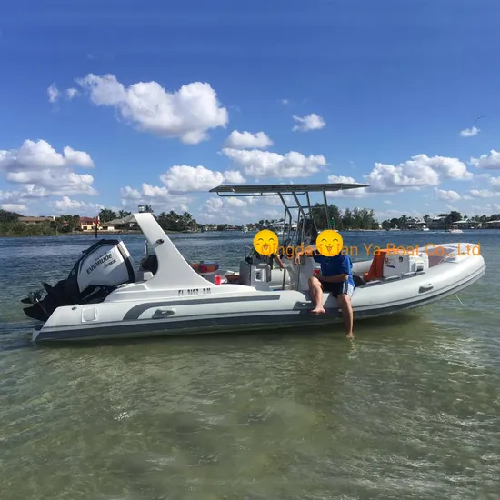 Liya 22feet Hydraulic Steering Motor Dinghy Rigid Inflatable Boats