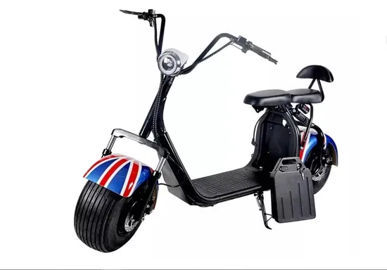1500W 2000W Electric Harley Citycoco Scooter Golf Scooter with EEC