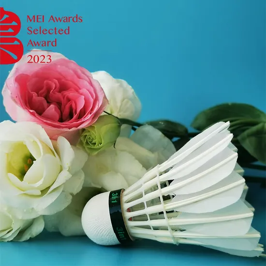 Hot Sale Dmantis Goose Feather Shuttlecock OEM Professional Badminton Shuttlecock 3in1 Shuttlecock