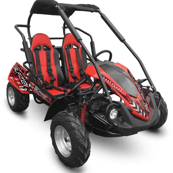 Premium 500cc 2-Seater Dune Buggy Electric 4X4 Drive Adult Go Kart
