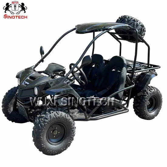 Good Price Gas off Road Go Kart Adult 2 Seat Dune Buggy Gasoline 250cc Go Karts for Sale