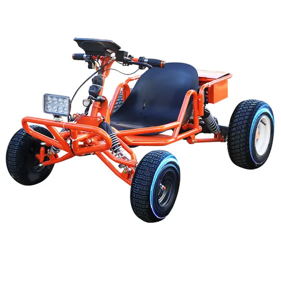 off-Road Electric Karting 1500W DC Brushless Motor Drive Disc Brake Rear Axle Racing Go Kart Outdoor Electric Kart Small Adult