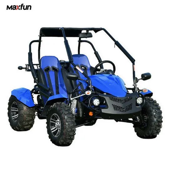 Popular 2 Seat 4 Stroke Dune Buggy Cheap Off Road Go Karts
