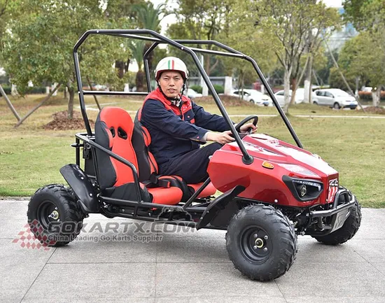 Free Shipping Cheap Price off-Road Racing Electric Fast Car Go Kart for Sale