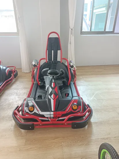 600W Parent Child Go Kart Electric Karting for Commercial Leasing