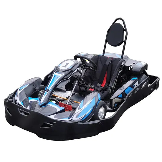 Electric for Engine Adult De Sale Folding South Africa 20HP 270cc 9HP ELé Ctrico Adultos Roue Arriè Re Two Seater Pedal Go Kart