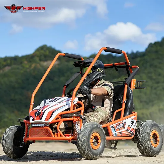 212cc CE EPA Approved 2 Seats Dune Buggy for Adults Kids Go Kart Buggy