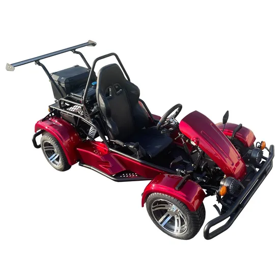 170cc 4 Stroke Gas One Seat Go Kart UTV Buggy for Sale