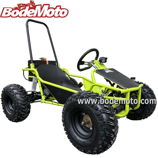 Bode New 48V 2000W Brushless Electric Buggy Kart Wholesale Electric Fast Go Kart Mini Drift Kart