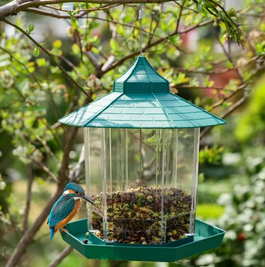 Bird Yard Feeders Hung Automatic Pet Garden Feeders Corn Waterproof Bird Feeder