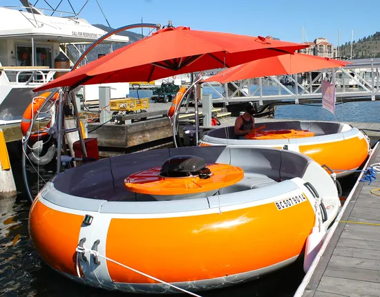 Electric Entertainment BBQ Donut Boat for Sale