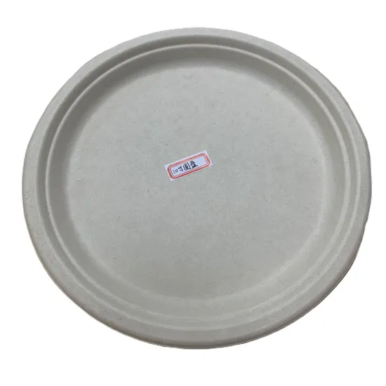 10 Inch Round Custom Service Disposable Paper Food Plate for BBQ