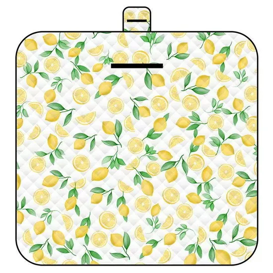Cross-Border Wholesale Outdoor Camping Small Fresh Moisture-Proof Non-Slip Picnic Mat
