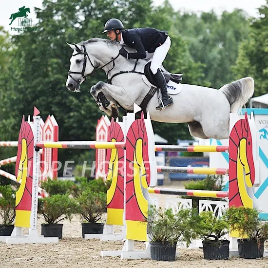Horse Show Jumping Wings Used Aluminium Jump Stands for School Jumps