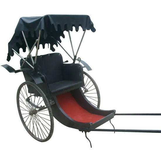 Human Power Cart with Two Wheeled