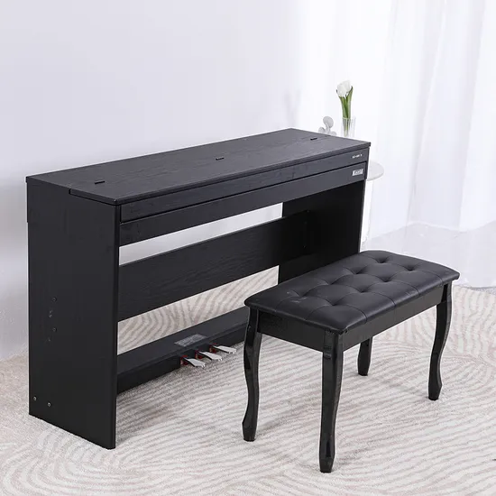 480 Kinds Timbre 88 Key Full Conter Weight Keyboard Digital Piano (ATP8813)