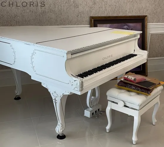 European Design Carved Grand Piano for Home Decoration with Modern Piano Sg168r