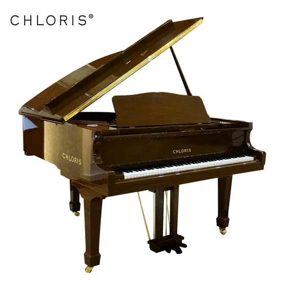 Chloris 88 Keys Wooden Walnut Baby Grand Piano Hg152wa